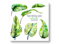 Moderan slika na platnu s motivom priroda u belo-zelenih nijansama, sveža atmosfera, priroda i tropski raj, pogodan za dnevnog boravka | Slika za zid s textom Palm tropical leaves – glavna