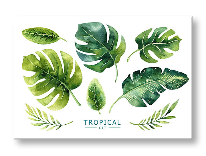 Moderan slika na platnu s motivom priroda u belo-zelenih nijansama, sveža atmosfera, priroda i tropski raj, pogodan za kancelarije | Slika za zid s textom Tropical set – glavna
