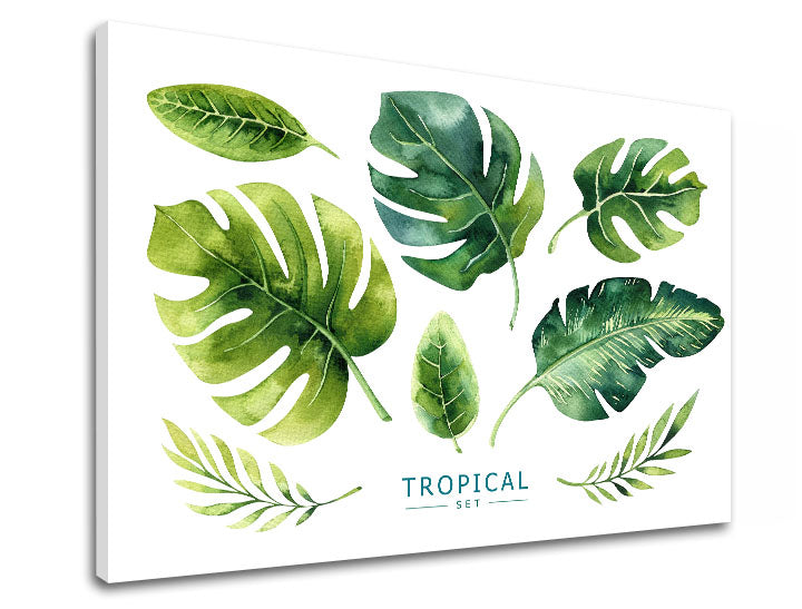Moderan slika na platnu s motivom priroda u belo-zelenih nijansama, sveža atmosfera, priroda i tropski raj, pogodan za kancelarije | Slika za zid s textom Tropical set – proizvod